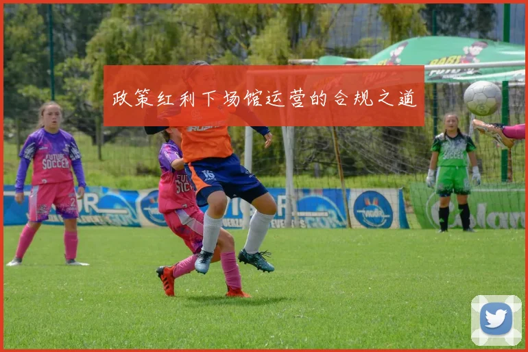 政策红利下场馆运营的合规之道