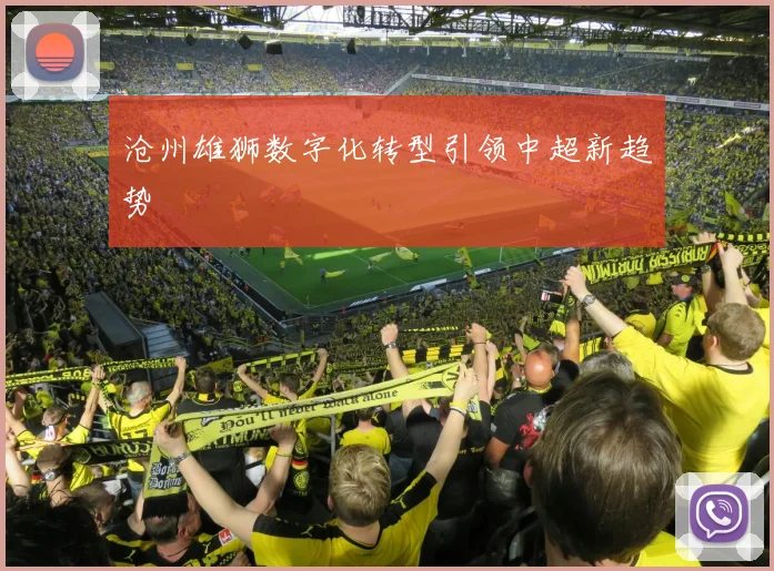 沧州雄狮数字化转型引领中超新趋势