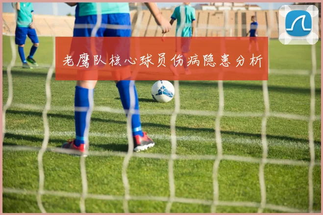 老鹰队核心球员伤病隐患分析