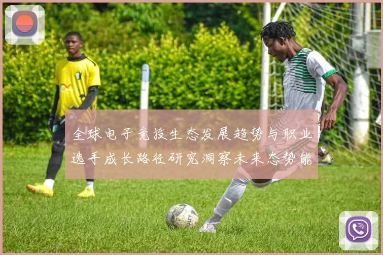 全球电子竞技生态发展趋势与职业选手成长路径研究洞察未来态势能
