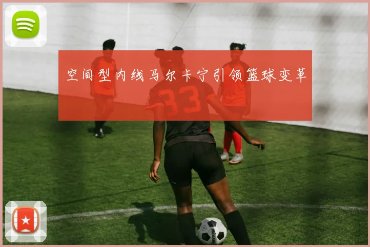 空间型内线马尔卡宁引领篮球变革