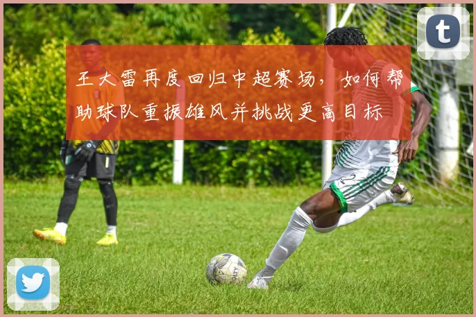 王大雷再度回归中超赛场，如何帮助球队重振雄风并挑战更高目标