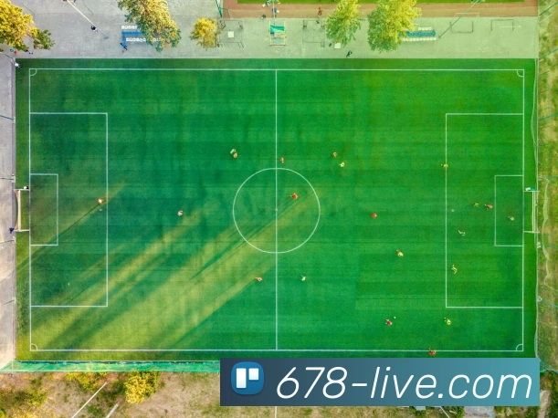 678体育平台生态图