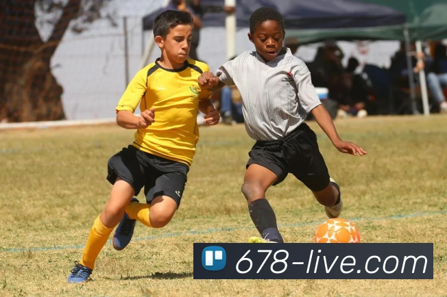 数据防护可视化